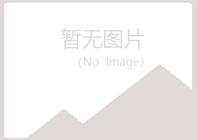 谷城县雪青化学有限公司